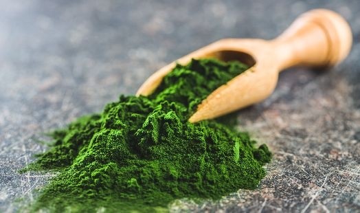 Chlorella